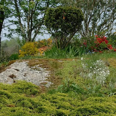 Beech Hill House Bed and Breakfast Grange-over-Sands