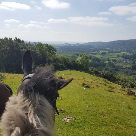 Beech Hill House 3* Grange-over-Sands