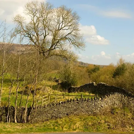 Bed & Breakfast Beech Hill House 3*