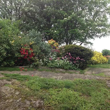 Bed & Breakfast Beech Hill House